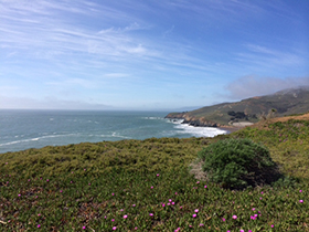 Marin Headlands Coastal Trail with flowers